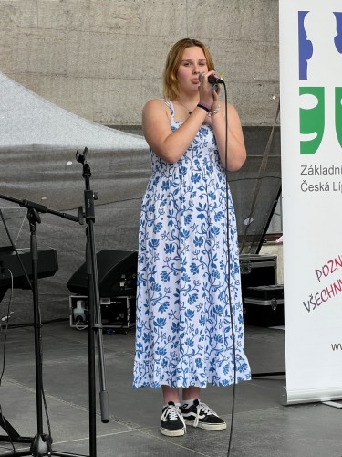 Image Description
